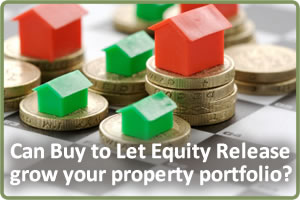 Buy to Let Equity Release